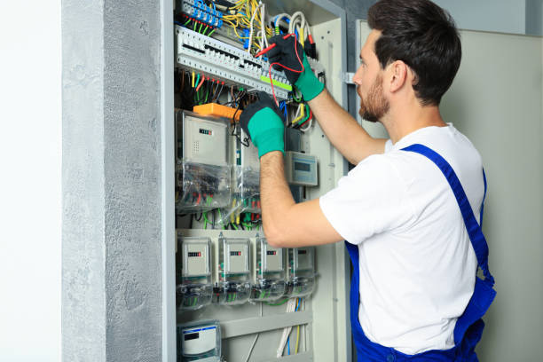 Best Ceiling Fan Installation Electrician  in Fallon, NV