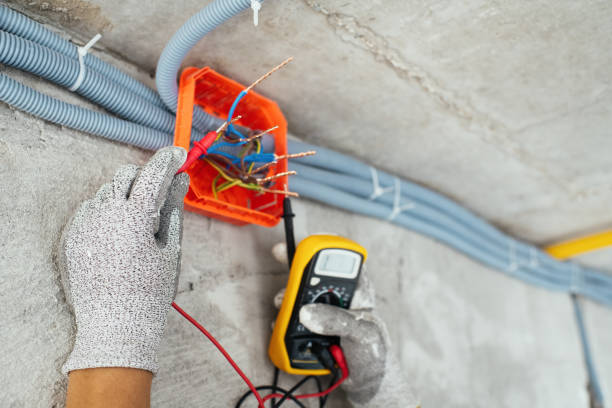Best Ceiling Fan Installation Electrician  in Fallon, NV
